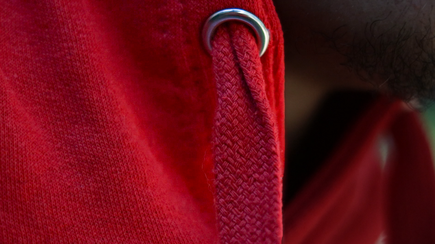 CRIMSON PRETTY DAMN HOODIE