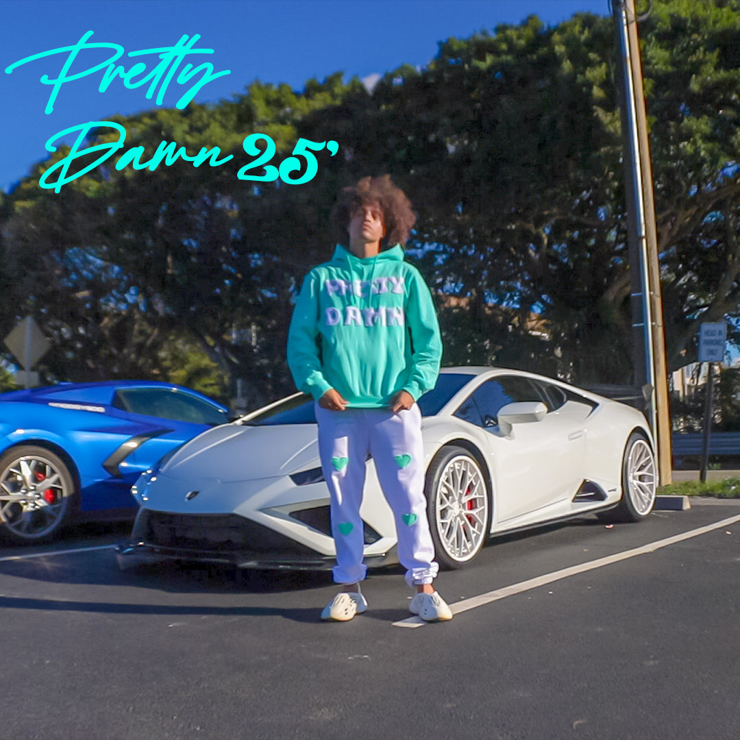 MINT PRETTY DAMN HOODIE