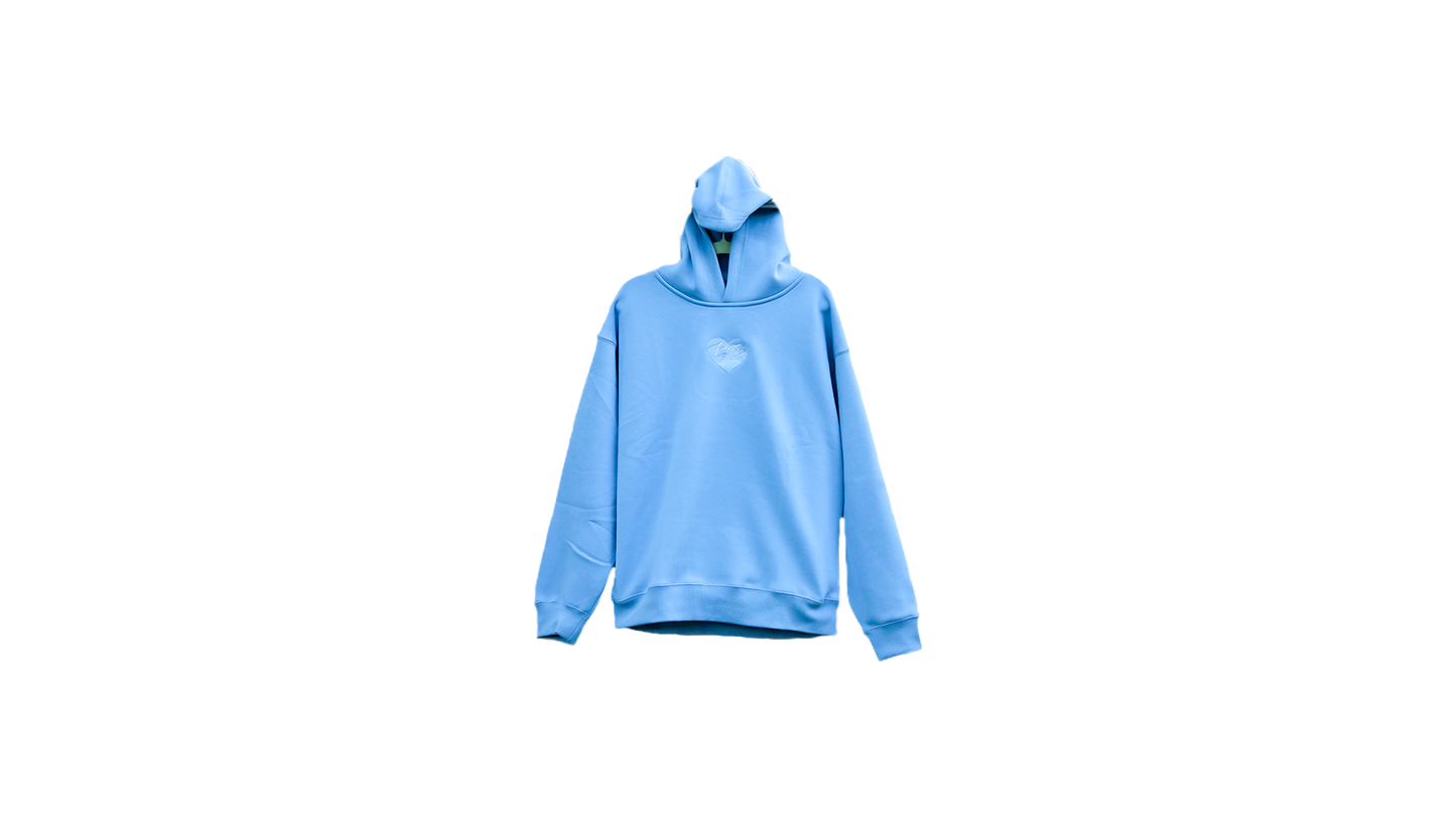 PRETTY DAMN HOODIE V2